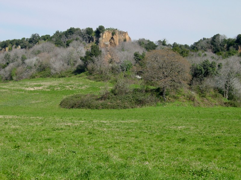 Campagna e boschi intorno a Cerveteri